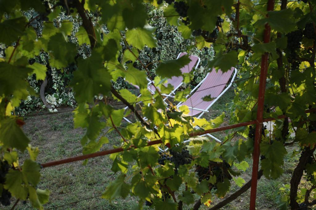 Villa Kucica Ljubcek à Privlaka  Chambre photo
